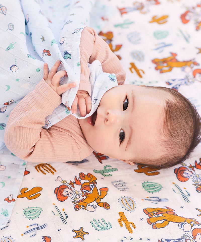 aden + anais】toy story 3-pack classic swaddles【3点セット